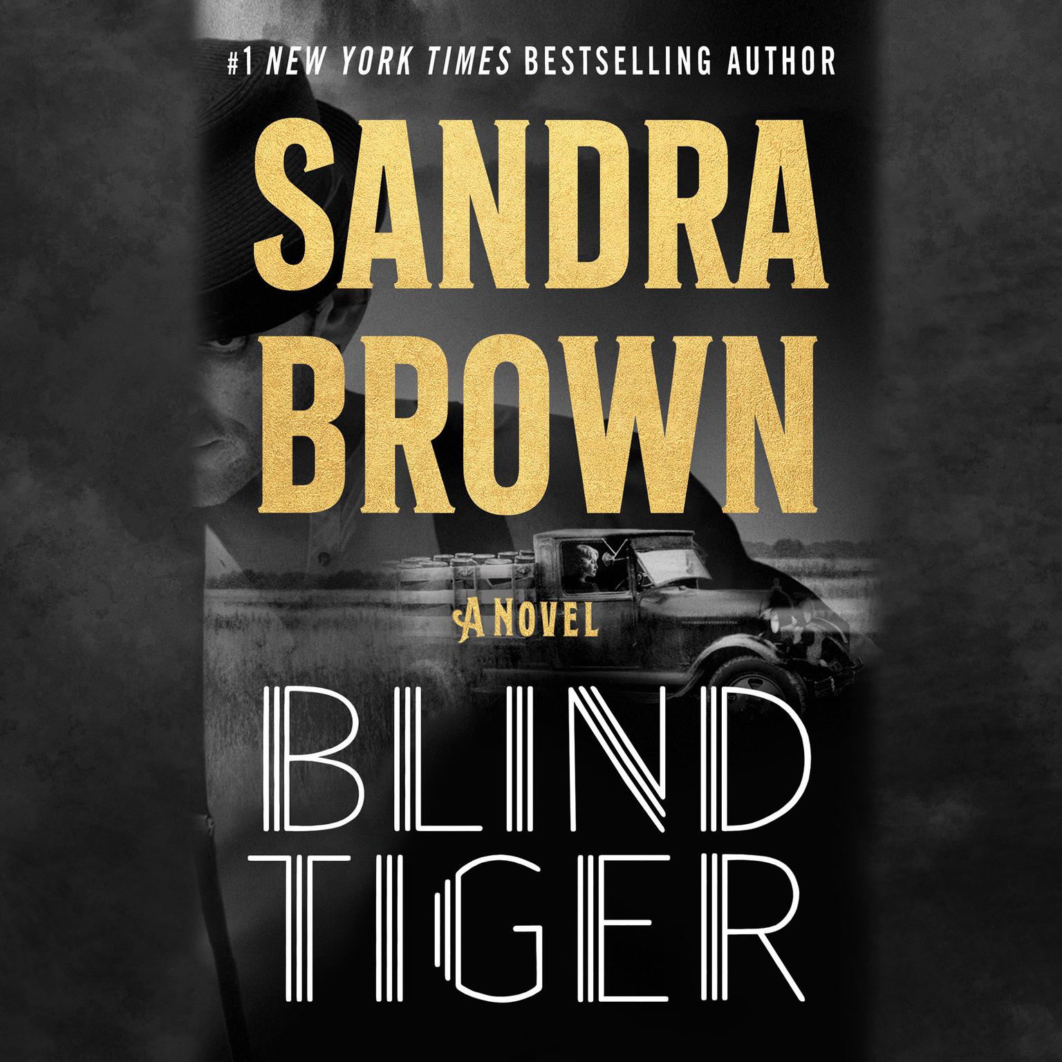 Blind Tiger: A Novel Audiobook, by Sandra Brown