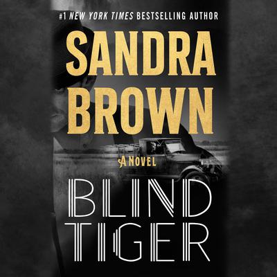Blind Tiger: A Novel Audiobook, by Sandra Brown