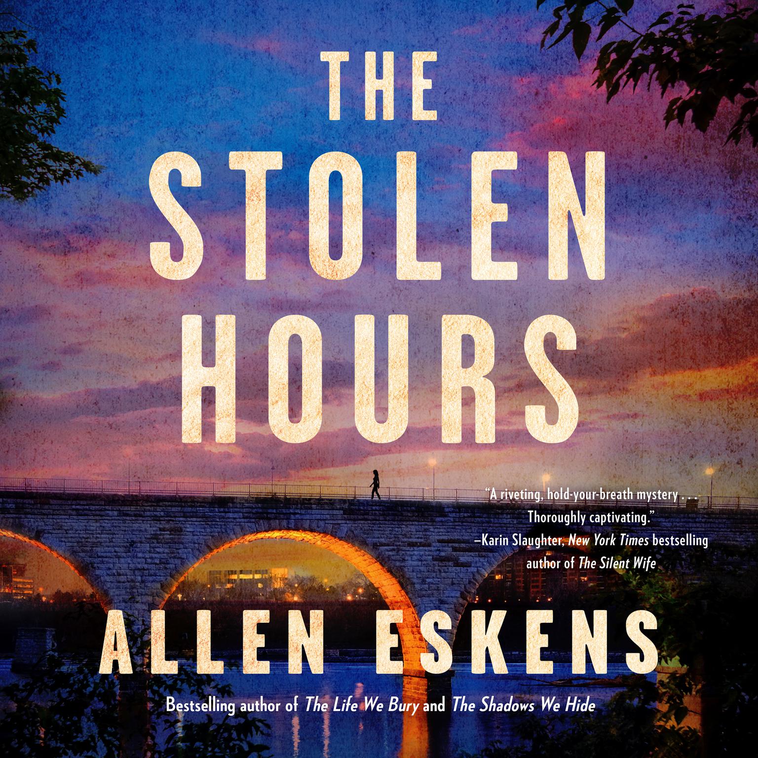 The Stolen Hours Audiobook, by Allen Eskens