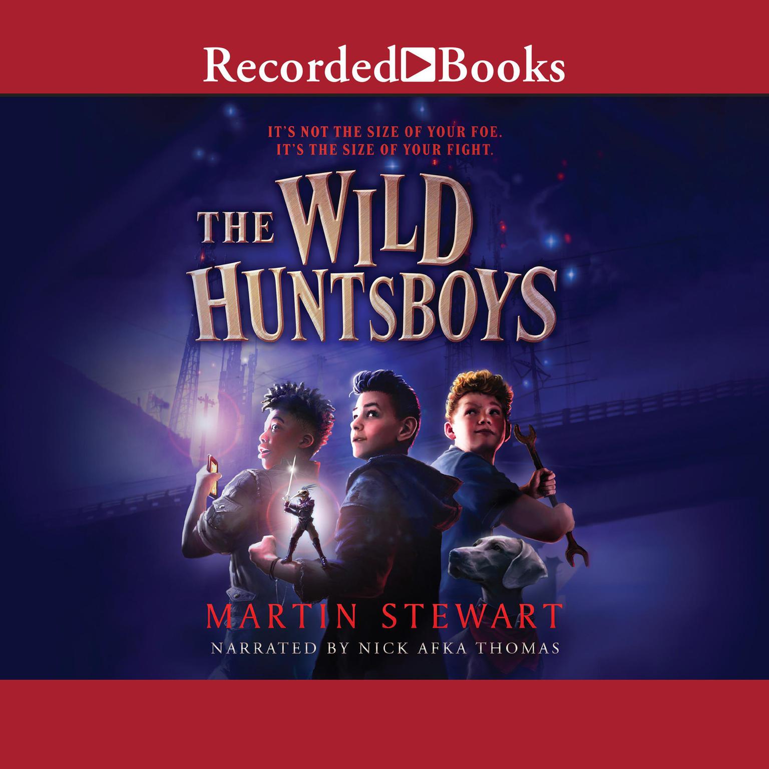 The Wild Huntsboys Audiobook, by Martin Stewart
