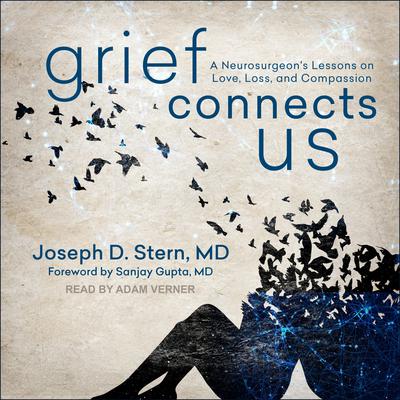 Grief Connects Us: A Neurosurgeons Lessons on Love, Loss, and Compassion Audiobook, by Joseph D. Stern