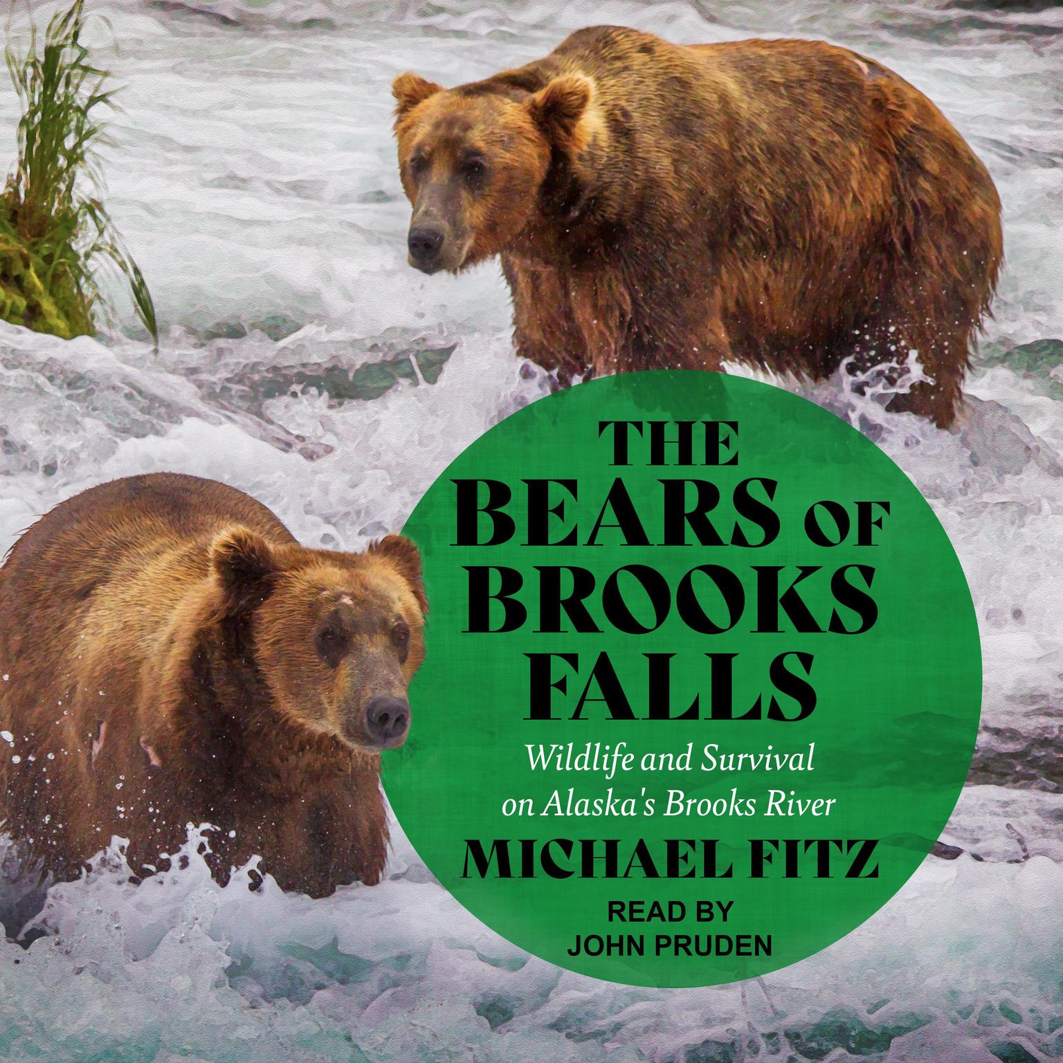 The Bears of Brooks Falls: Wildlife and Survival on Alaskas Brooks River Audiobook, by Michael Fitz