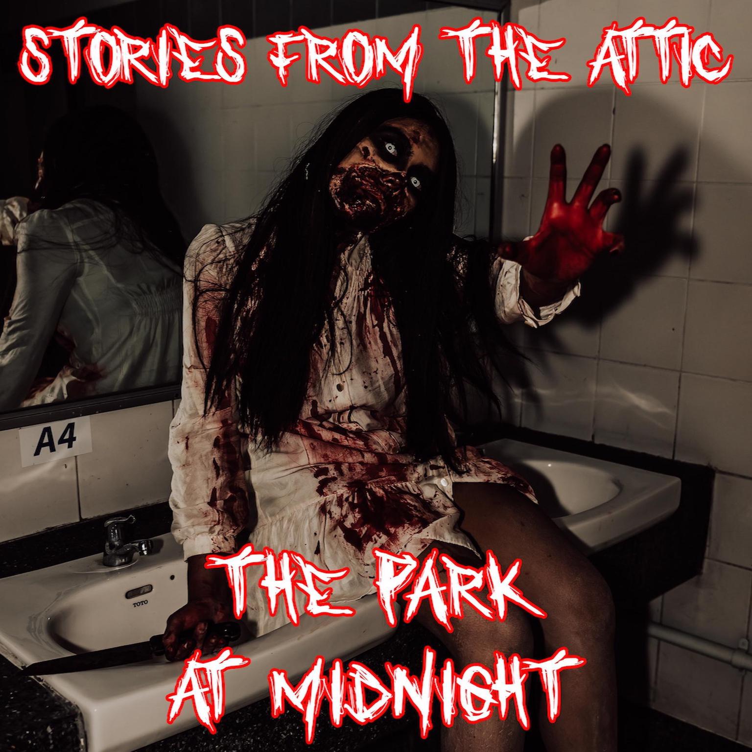 The Park at Midnight Audiobook, by Stories From The Attic