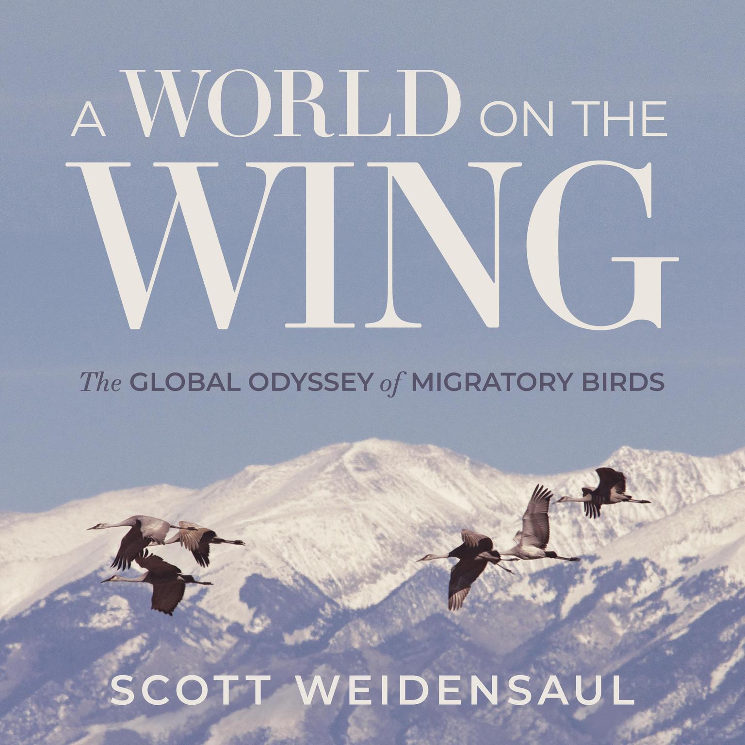 A World on the Wing: The Global Odyssey of Migratory Birds Audiobook, by Scott Weidensaul