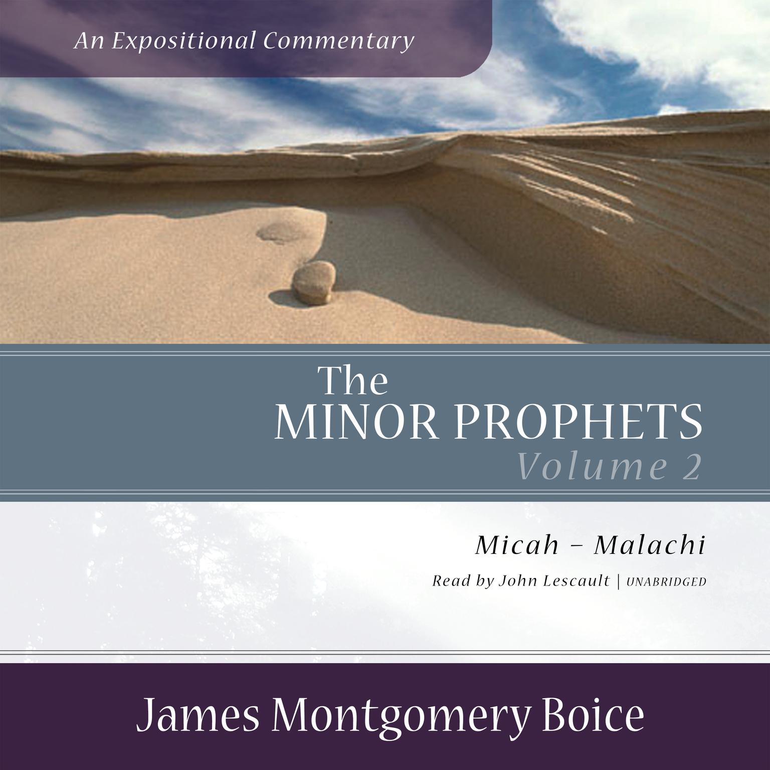 The Minor Prophets: An Expositional Commentary, Volume 2: Micah–Malachi Audiobook, by James Montgomery Boice