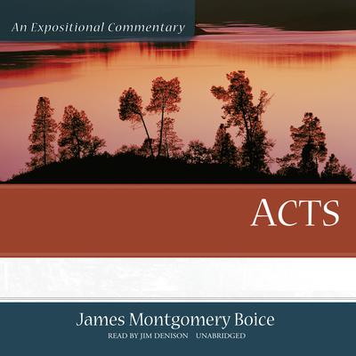 Acts: An Expositional Commentary Audiobook, by James Montgomery Boice