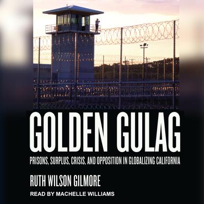 Golden Gulag: Prisons, Surplus, Crisis, and Opposition in Globalizing California Audiobook, by Ruth Wilson Gilmore
