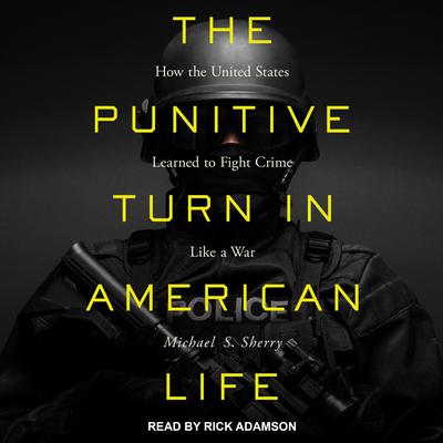 The Punitive Turn in American Life: How the United States Learned to Fight Crime Like a War Audiobook, by Michael S. Sherry