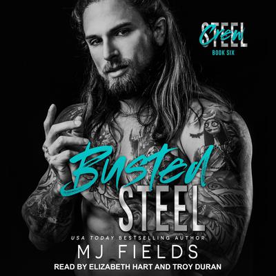 Busted Steel Audiobook, by 