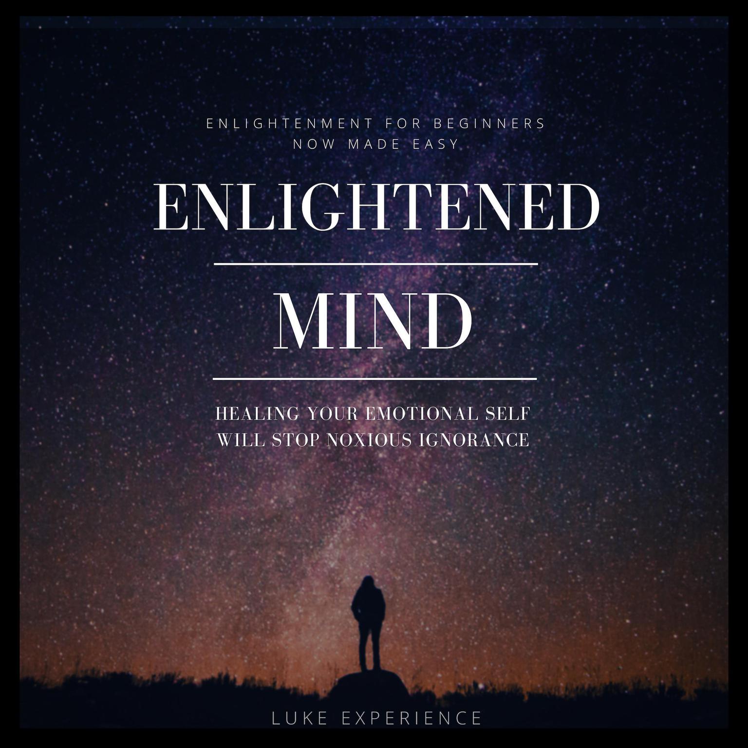 Enlightened Mind Audiobook, by Luke Experience