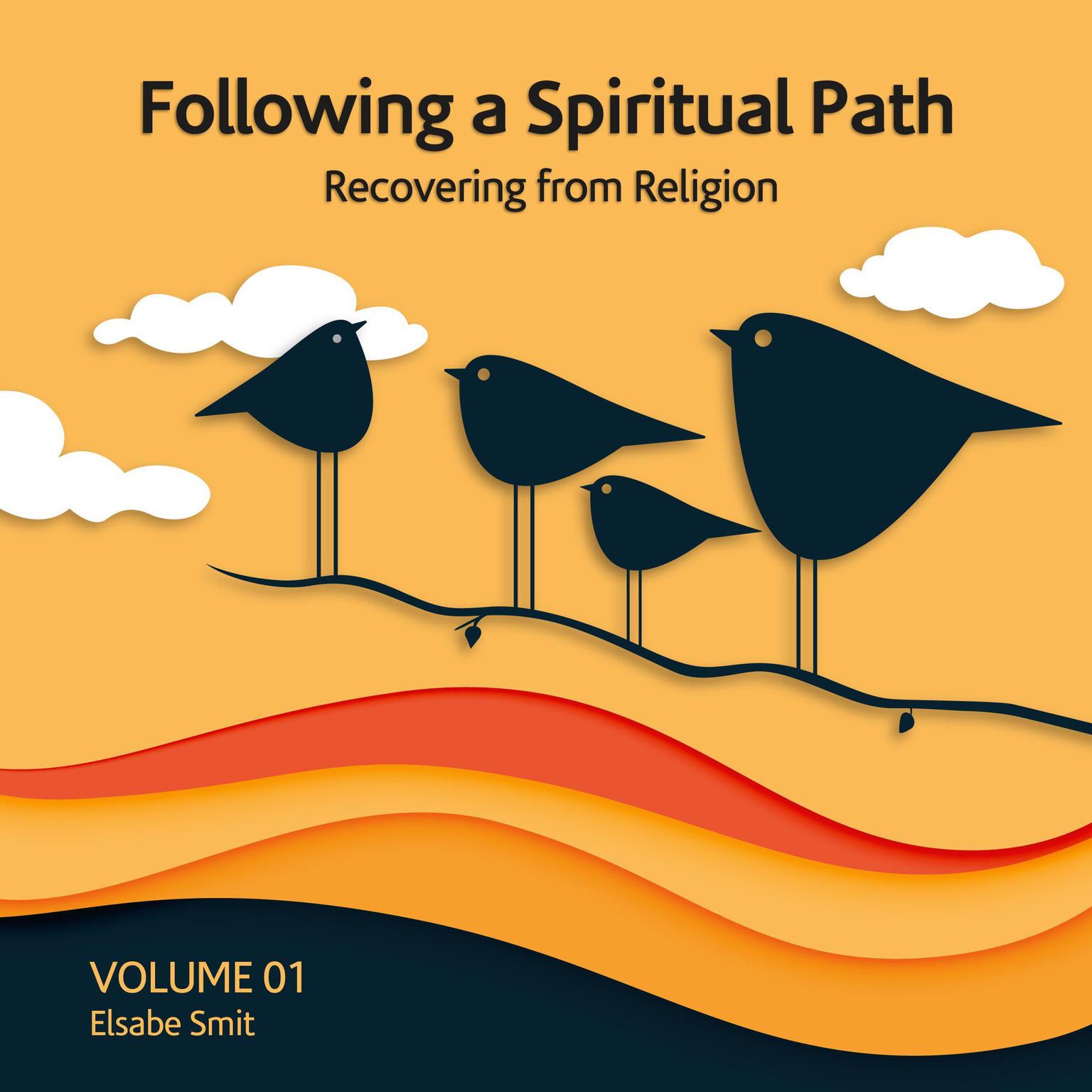 Following a spiritual path: Recovering from religion Audiobook, by Elsabe Smit