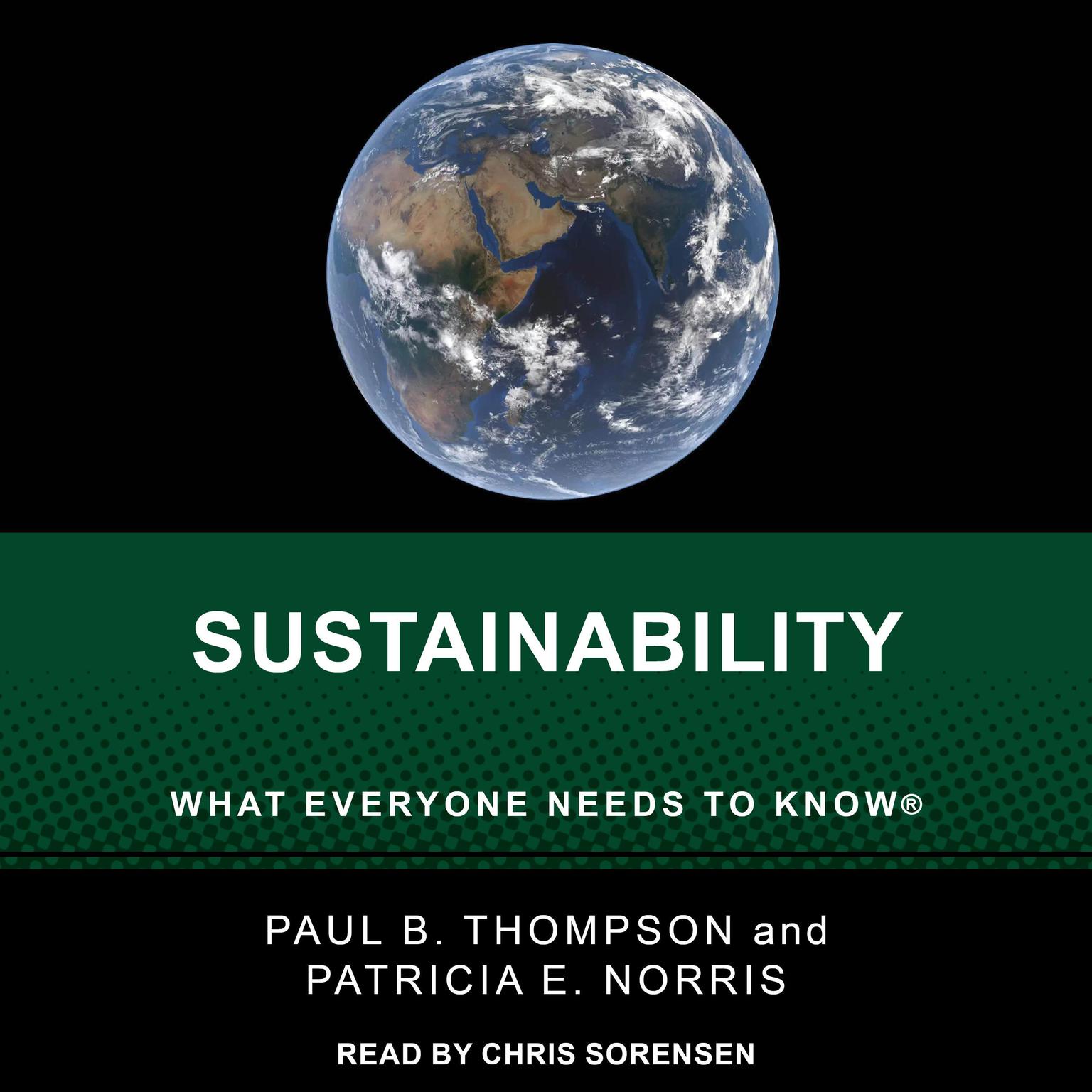 Sustainability: What Everyone Needs to Know Audiobook, by Patricia E. Norris