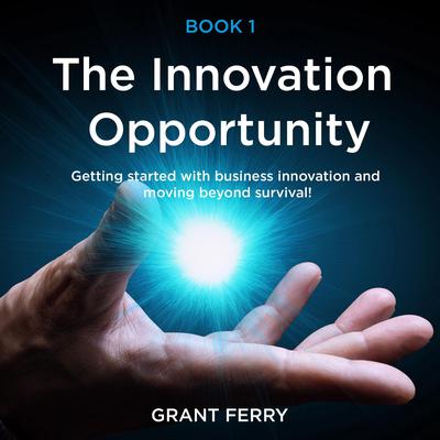 The Innovation Opportunity: Getting started with business innovation and moving beyond survival! Audiobook, by Grant Ferry