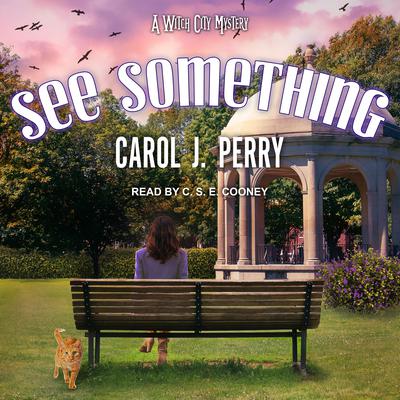 See Something Audiobook, by Carol J. Perry