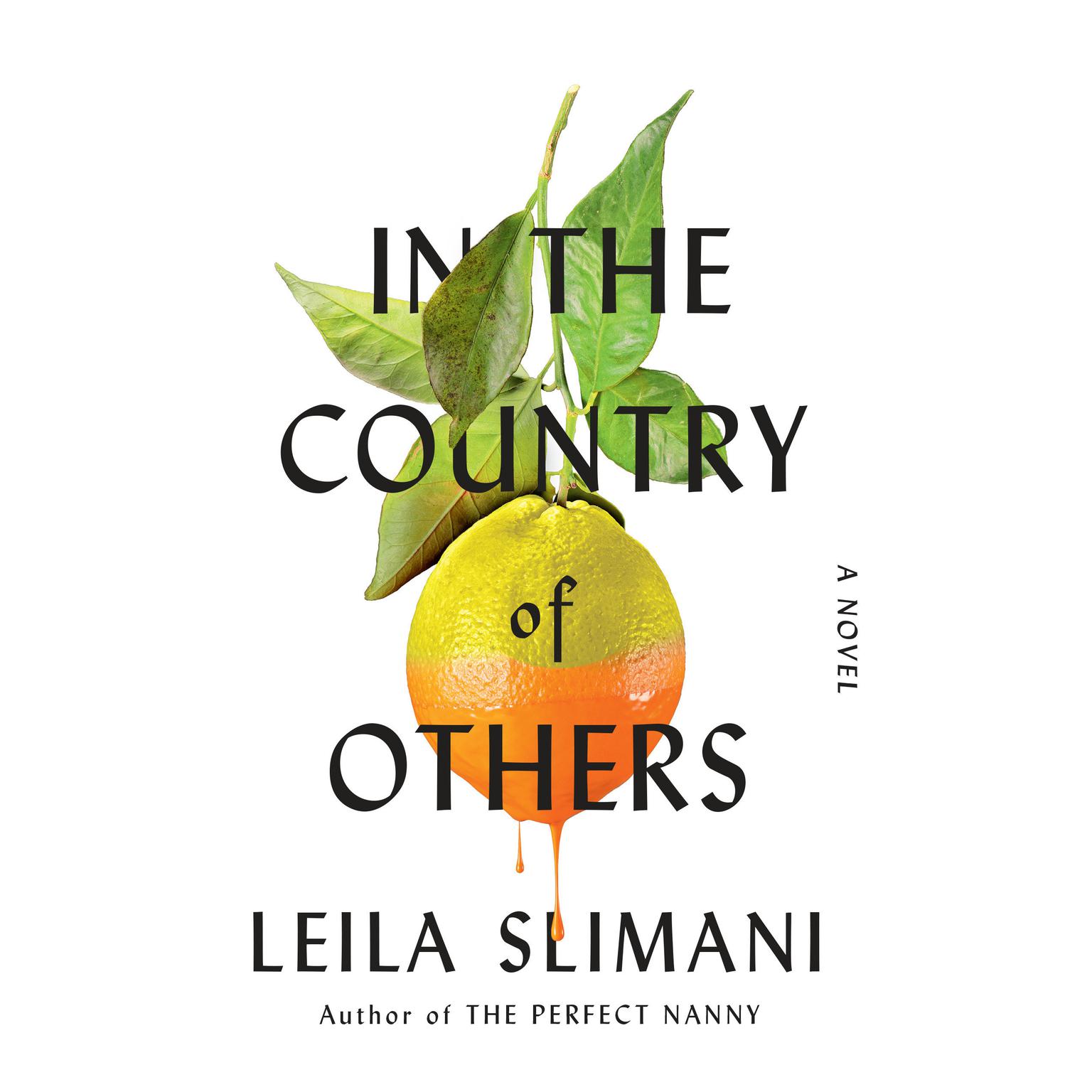 In the Country of Others: A Novel Audiobook, by Leila Slimani