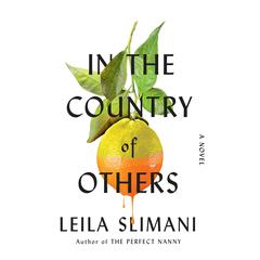 In the Country of Others: A Novel Audiobook, by 