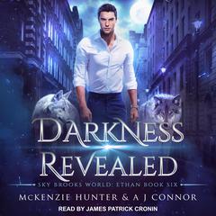 Darkness Revealed Audiobook, by McKenzie Hunter