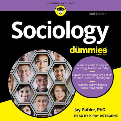 Sociology For Dummies: 2nd Edition Audiobook, by Jay Gabler