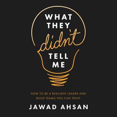 What They Didn’t Tell Me Audiobook, by Jawad Ahsan