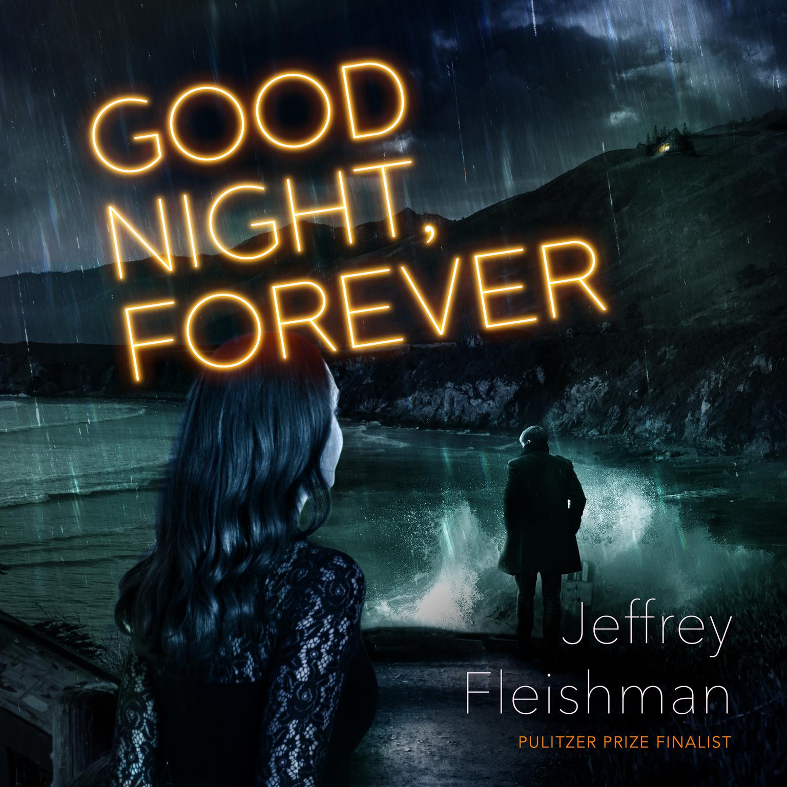 Good Night, Forever Audiobook, by Jeffrey Fleishman