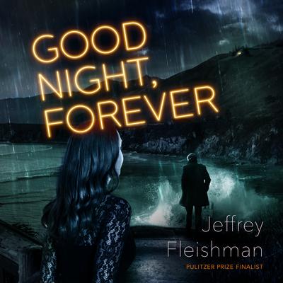 Good Night, Forever Audiobook, by Jeffrey Fleishman