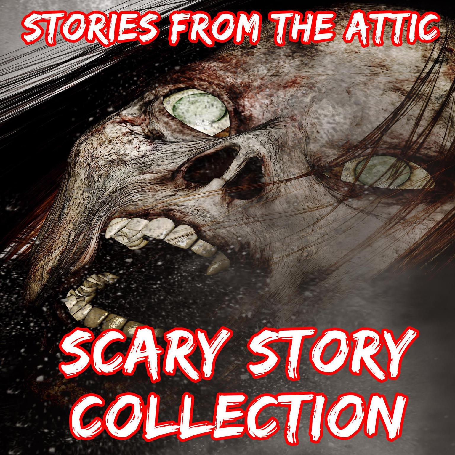 Scary Story Collection Audiobook, by Stories From The Attic