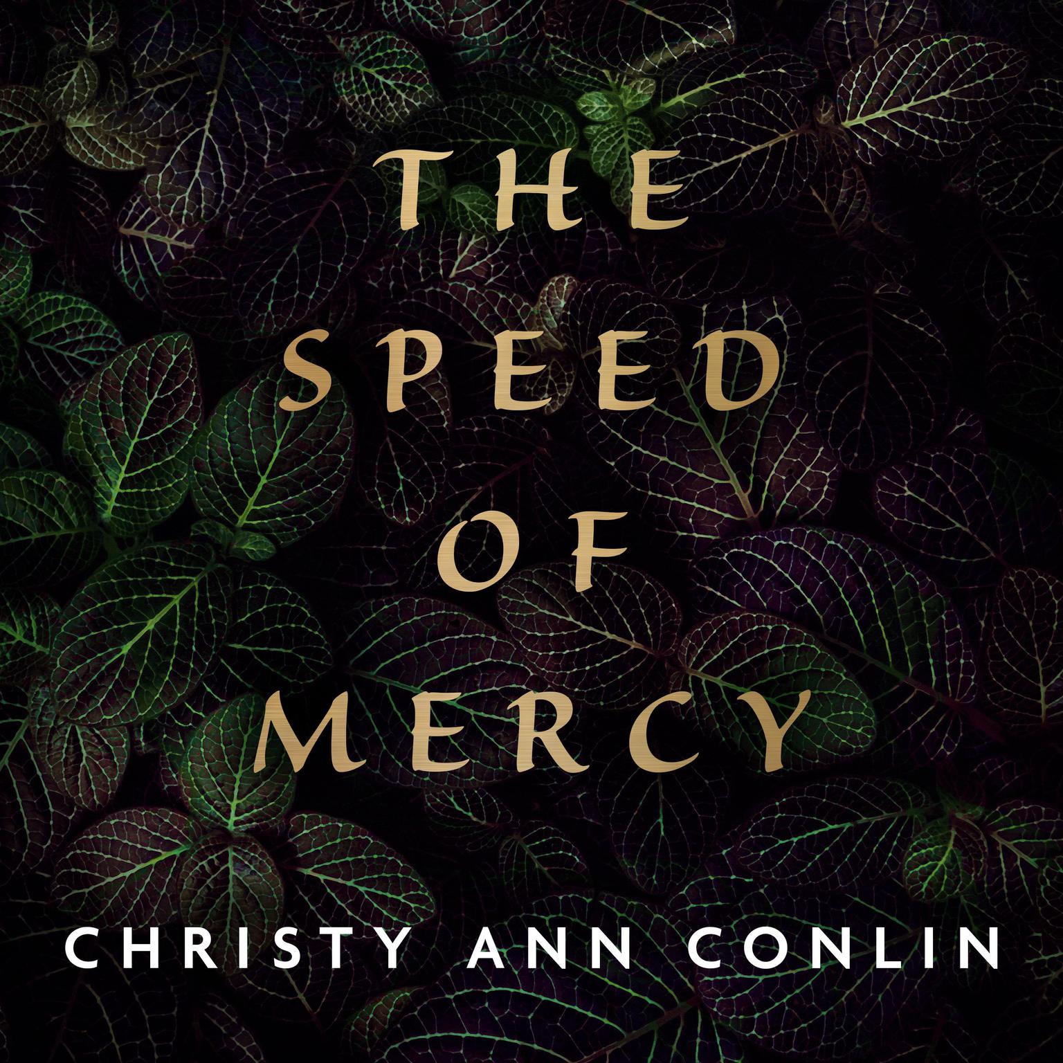 The Speed of Mercy Audiobook, by Christy Ann Conlin