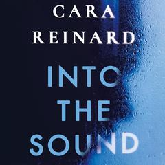 Into the Sound Audiobook, by Cara Reinard
