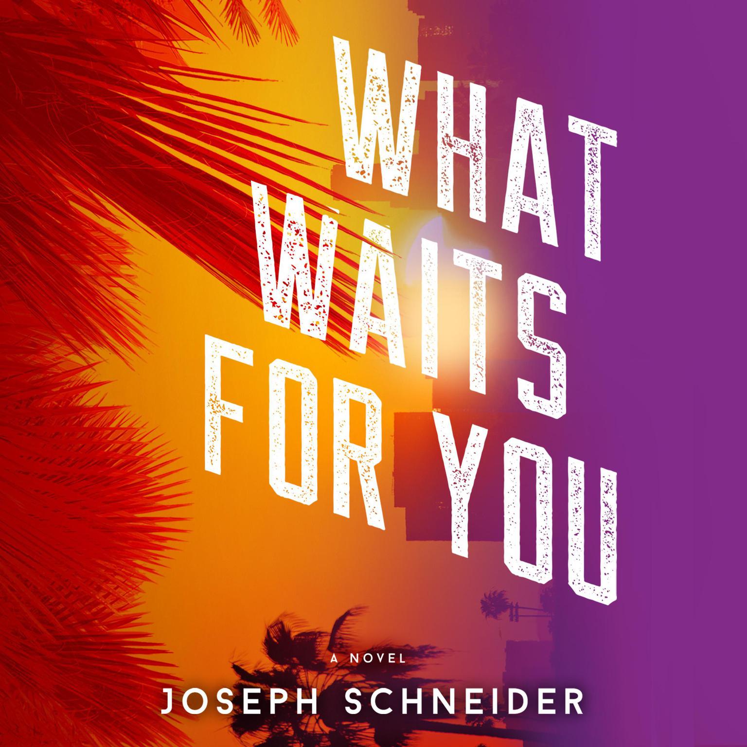 What Waits for You Audiobook, by Joseph Schneider