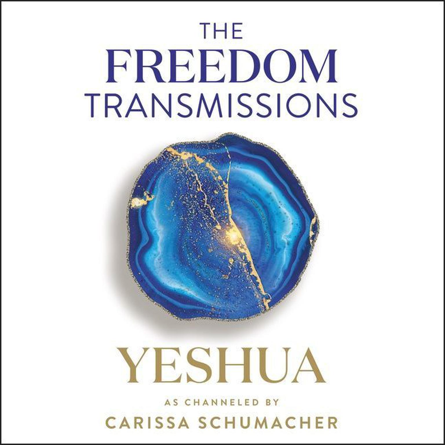 The Freedom Transmissions: A Pathway to Peace Audiobook, by Carissa Schumacher