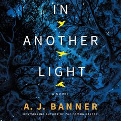 In Another Light: A Novel Audiobook, by A. J. Banner
