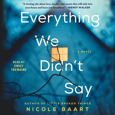 Everything We Didn't Say: A Novel Audiobook, by 