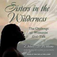 Sisters in the Wilderness: The Challenge of Womanist God-Talk Audiobook, by Delores S. Williams