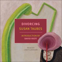 Divorcing Audiobook, by Susan Taubes