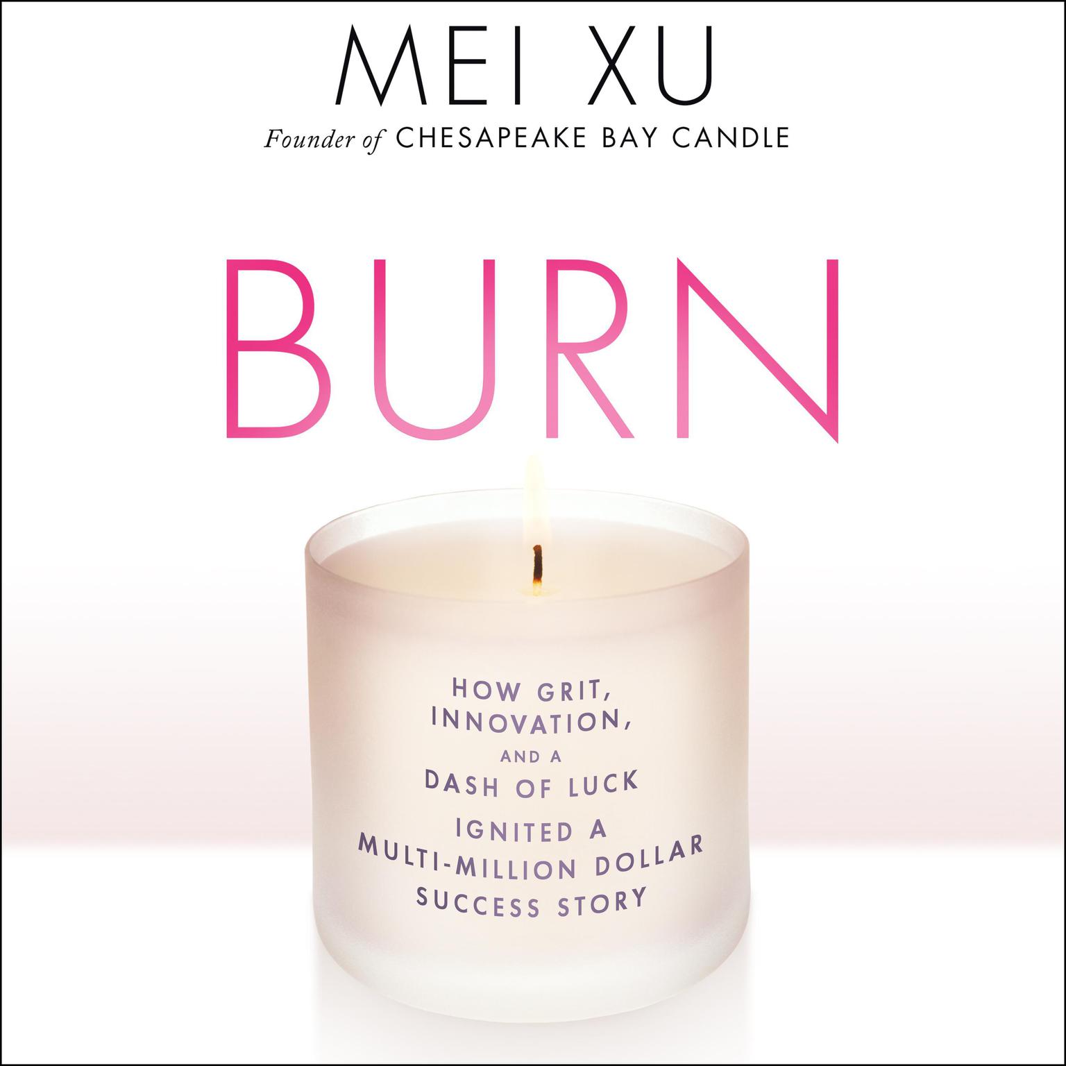 Burn: How Grit, Innovation, and a Dash of Luck Ignited a Multi-Million Dollar Success Story Audiobook, by Mei Xu