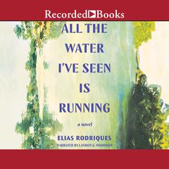 All the Water Ive Seen is Running: A Novel  Audiobook, by Elias Rodriques