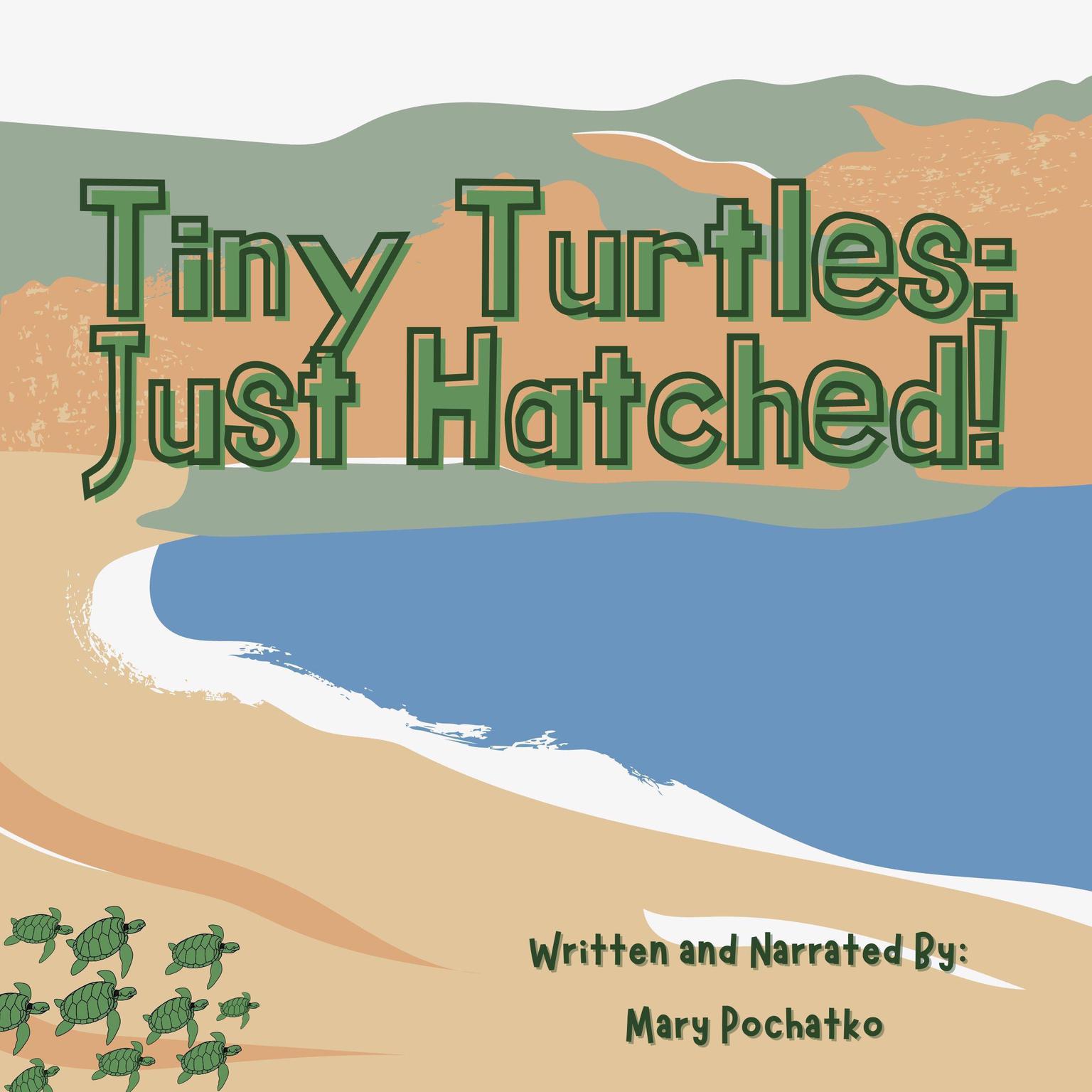 Tiny Turtles: Just Hatched! Audiobook, by Mary Pochatko
