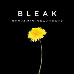Bleak: A Story of Bullying, Rage, and Survival Audiobook, by Benjamin Honeycutt