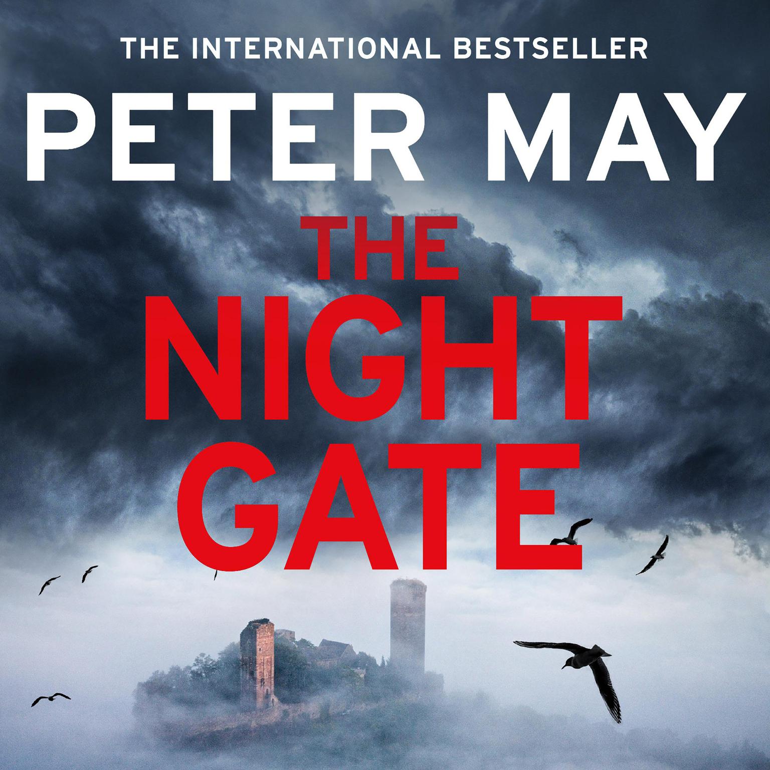 The Night Gate Audiobook, by Peter May