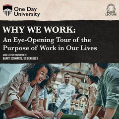 Why We Work: An Eye-Opening Tour of the Purpose of Work in Our Lives Audiobook, by Barry Schwartz