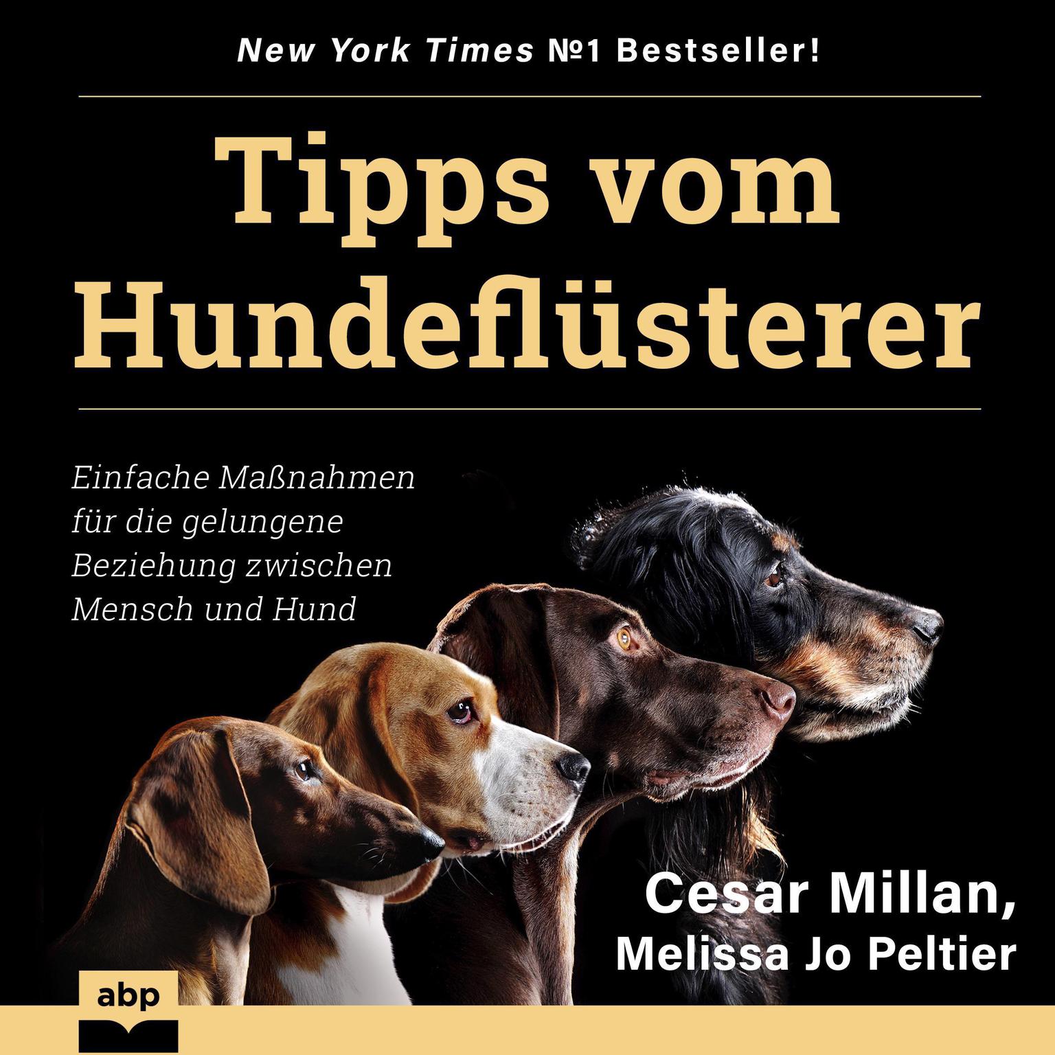 Tipps vom Hundeflüsterer: Einfache Maßnahmen für die gelungene Beziehung zwischen Mensch und Hund Audiobook, by Cesar Millan