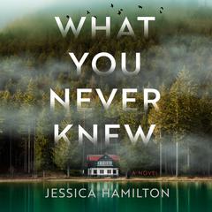 What You Never Knew Audiobook, by Jessica Hamilton