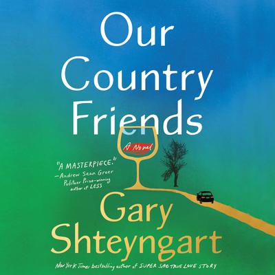 Our Country Friends: A Novel Audiobook, by Gary Shteyngart