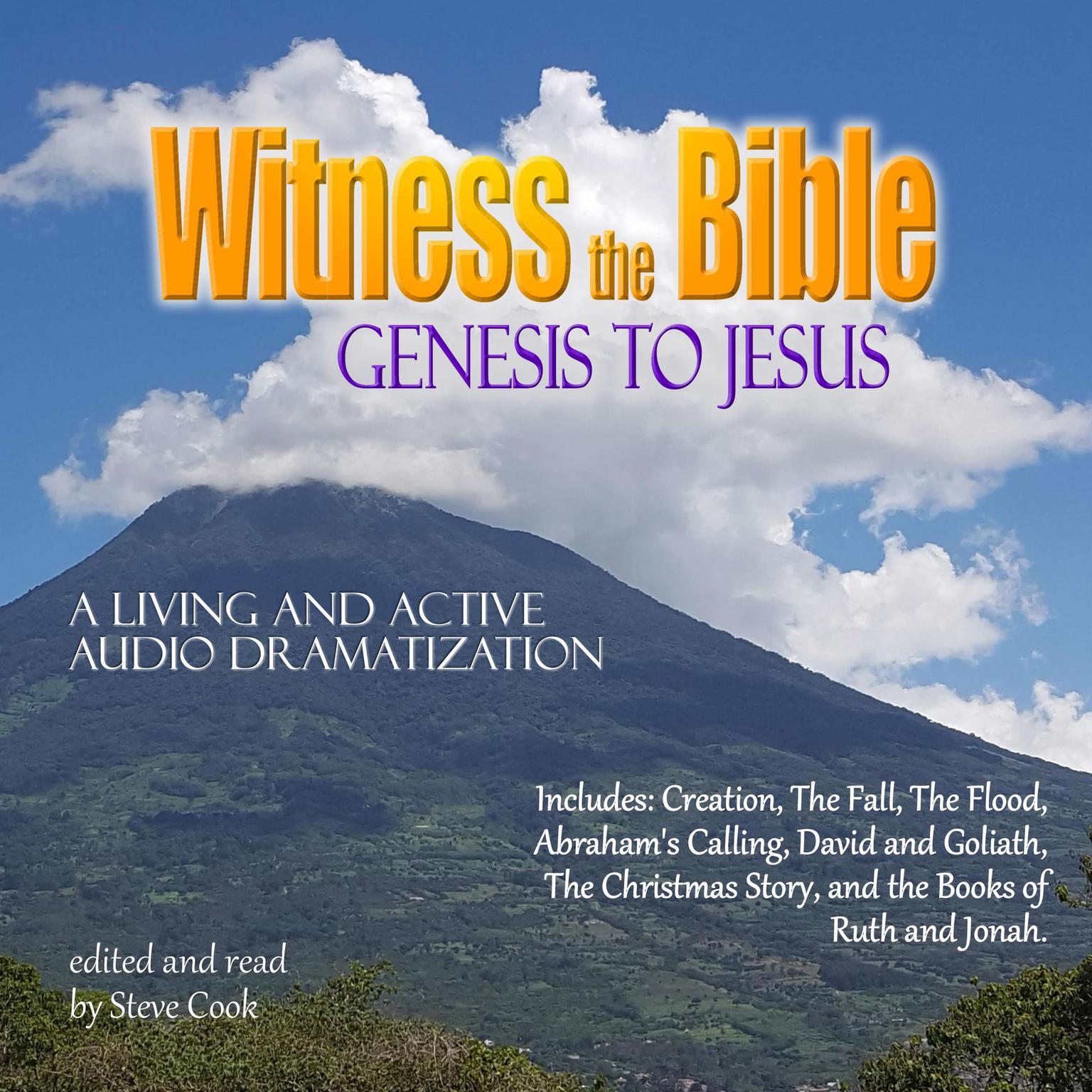Witness the Bible (Abridged): Genesis to Jesus  Audiobook, by Various 