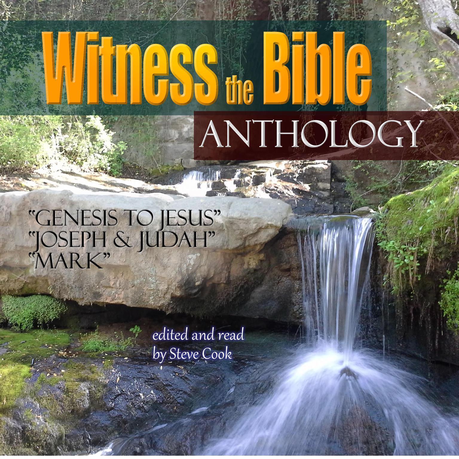 Witness the Bible (Abridged): Anthology Audiobook, by Various 