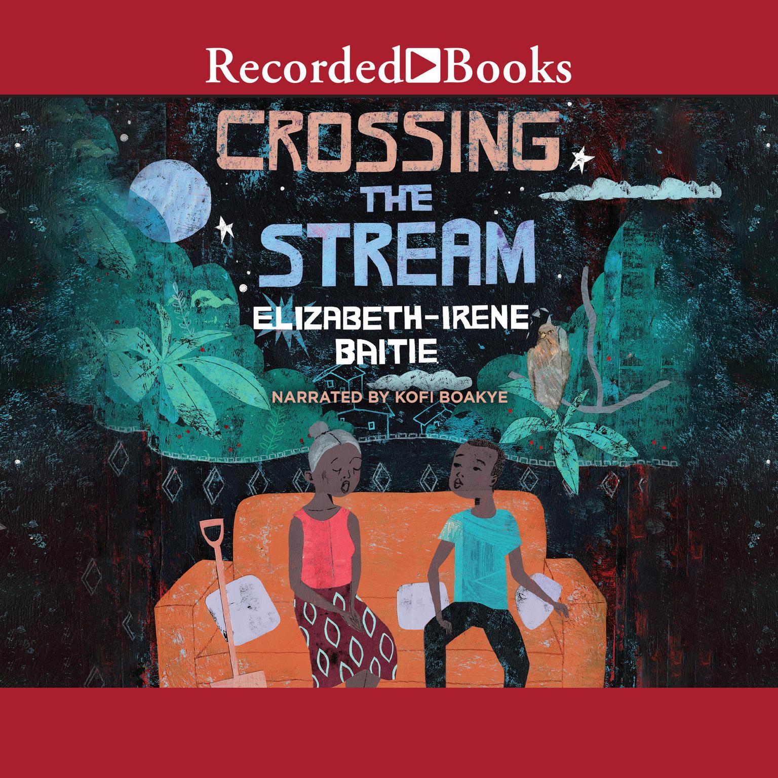 Crossing the Stream Audiobook, by Elizabeth-Irene Baitie