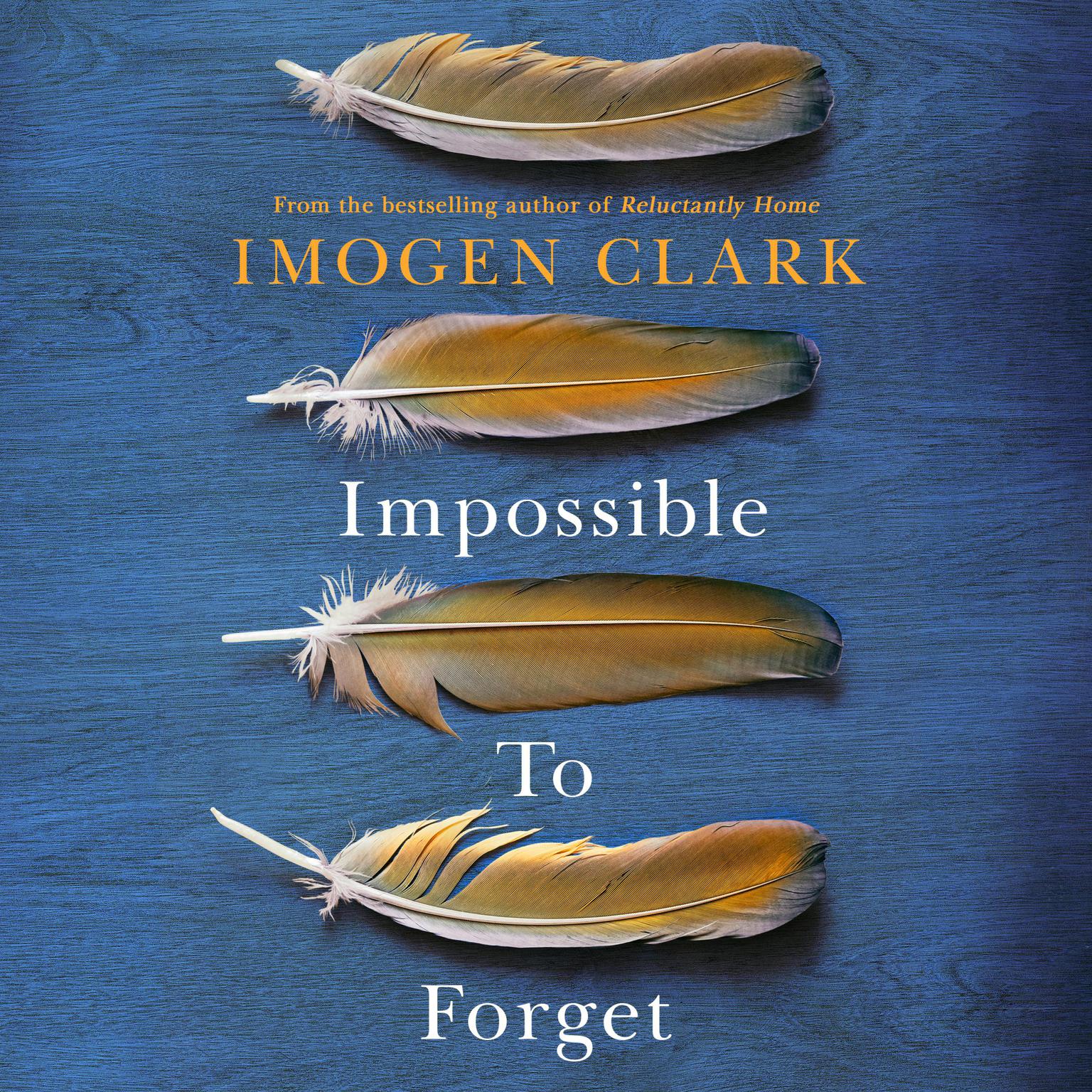 Impossible to Forget Audiobook, by Imogen Clark