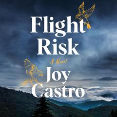 Flight Risk: A Novel Audiobook, by Joy Castro