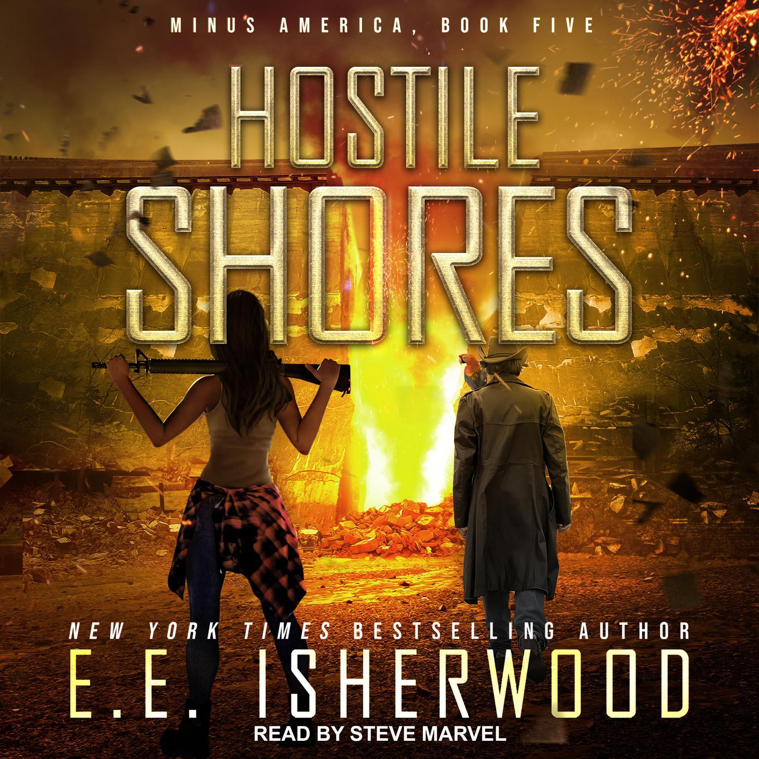 Hostile Shores Audiobook, by E.E. Isherwood