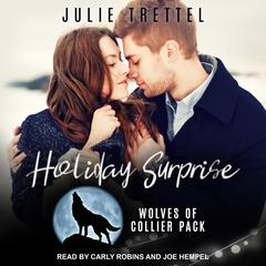 Holiday Surprise Audiobook, by Julie Trettel